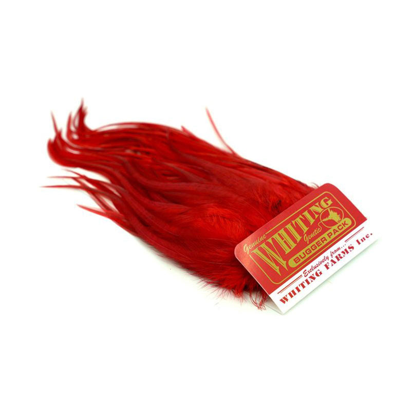446a681ed7b4a1d241dde5f23d758128019f3874_A_264399.jpg