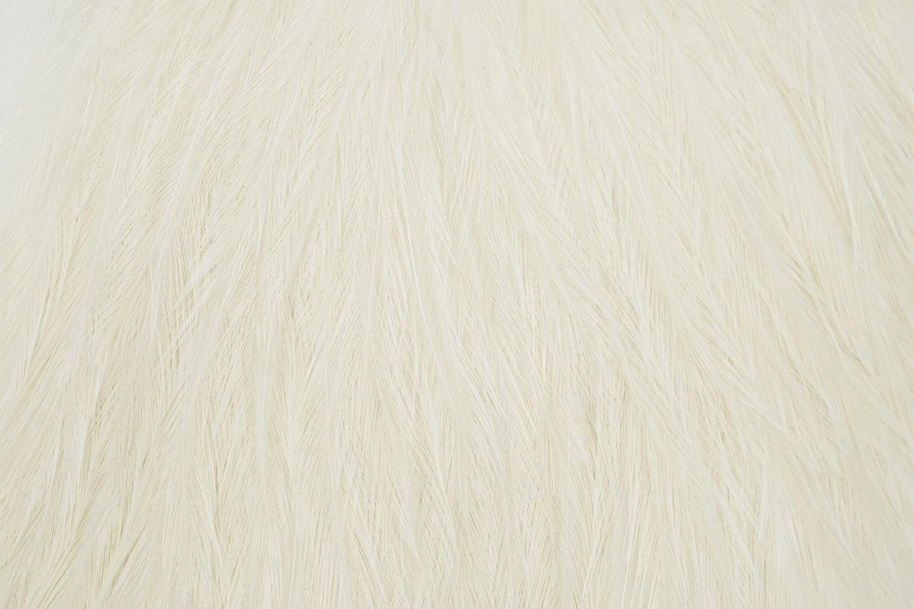 47087c5a473ac4e248de8b4a3b7817a304a93026_A_251634_7_0