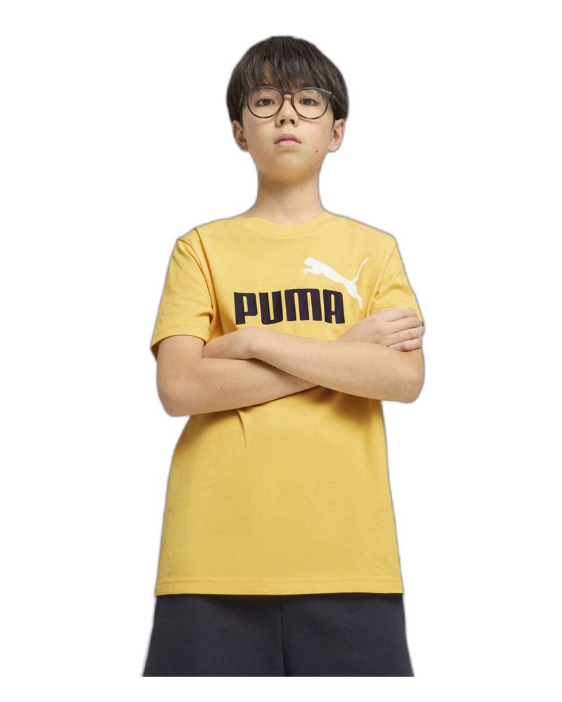 4784cb1fe244339a5c5601b1b45c2185759a2183_A_209859.jpg