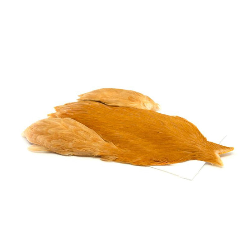 4956802655d61de20501646d7b394df8b70b303a_A_263107_14_0