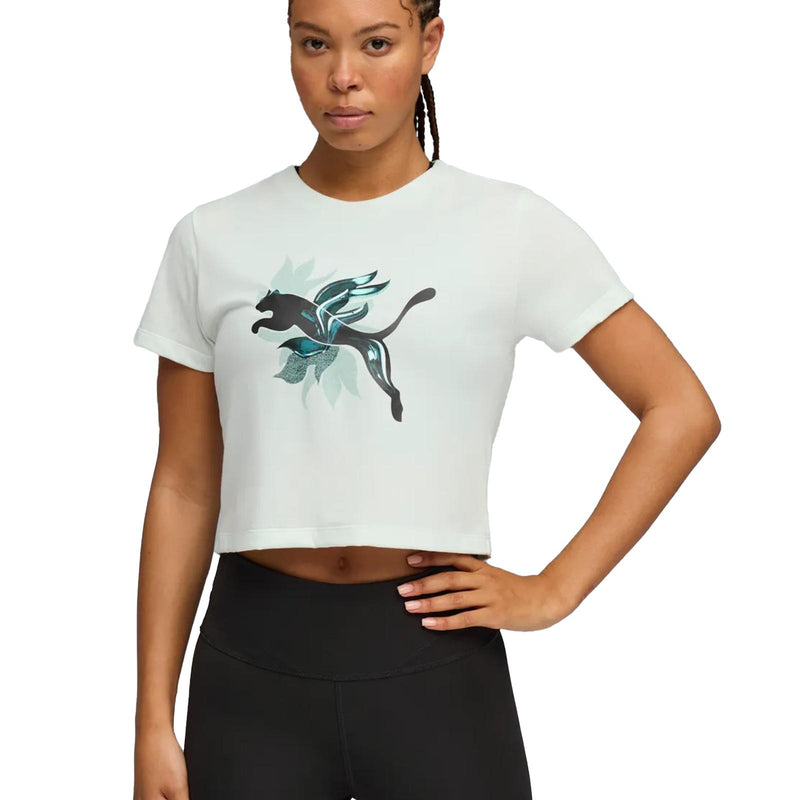 526392d88cb8855935a8bd9831c786f8af606eea_A_245402