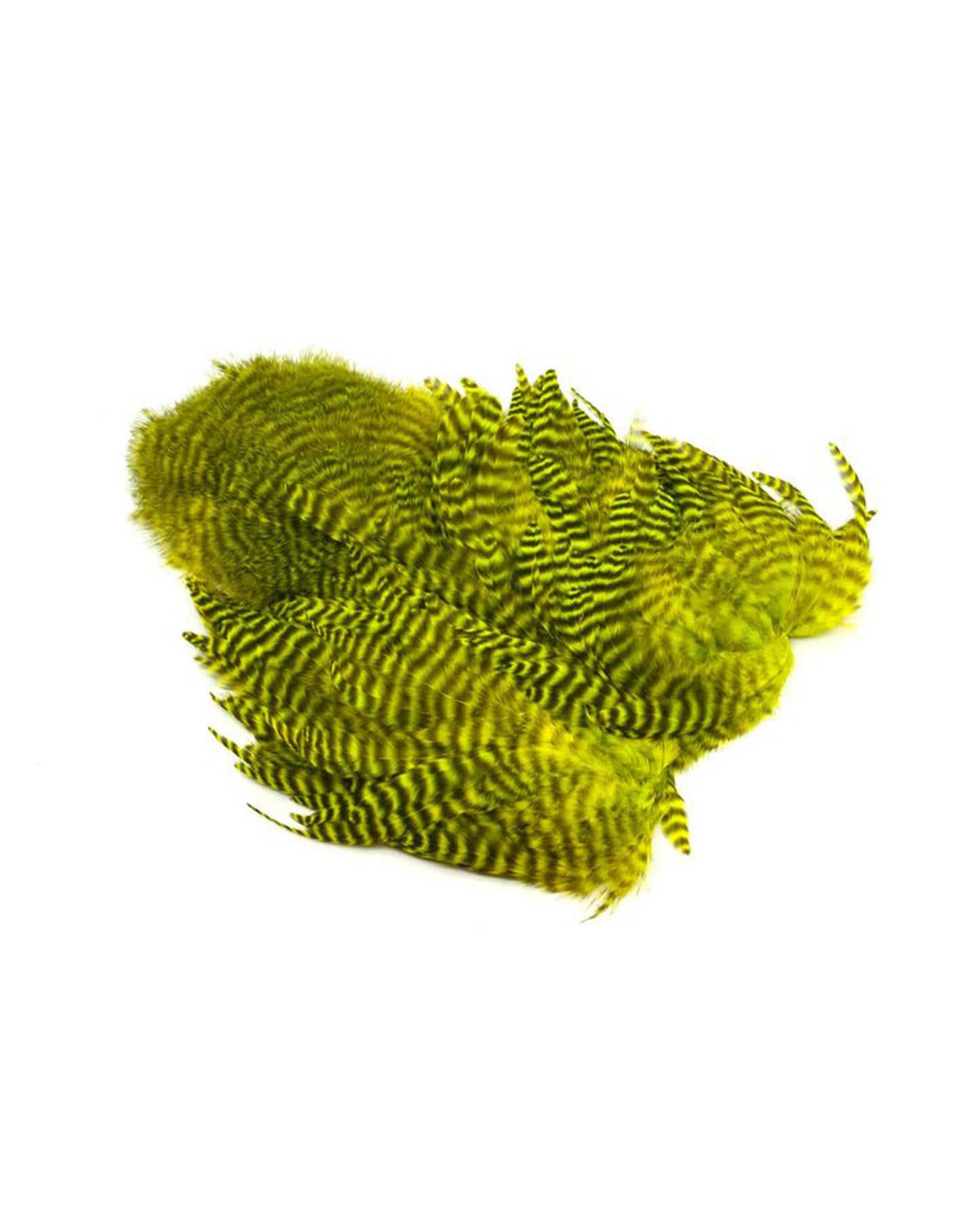 5434668993d59dd8b9b9d0beec6b29d9f478427b_A_264481_5_6
