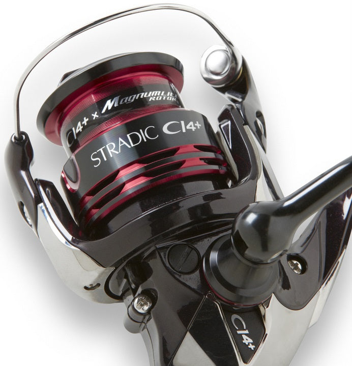 Stradic ci4+ Fa reel