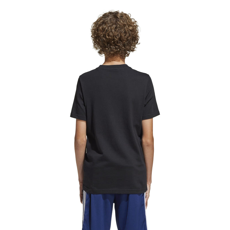 678fb4f3e46dd97cc484fc2367287959b365da38_A_248666_6_0