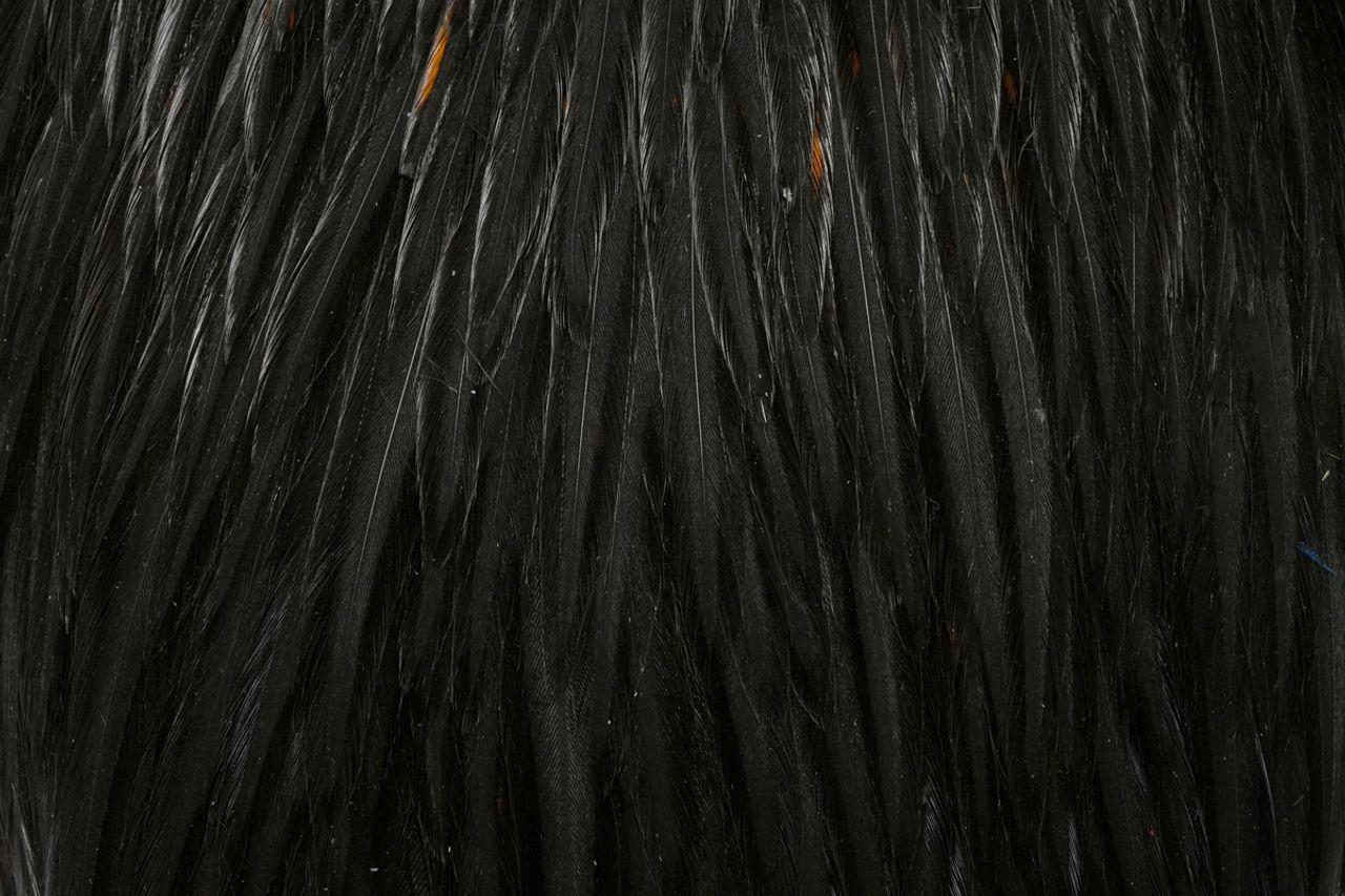 6955851c72f1fc19c0efb0ab379b2b4882b9d355_A_251635_6_0