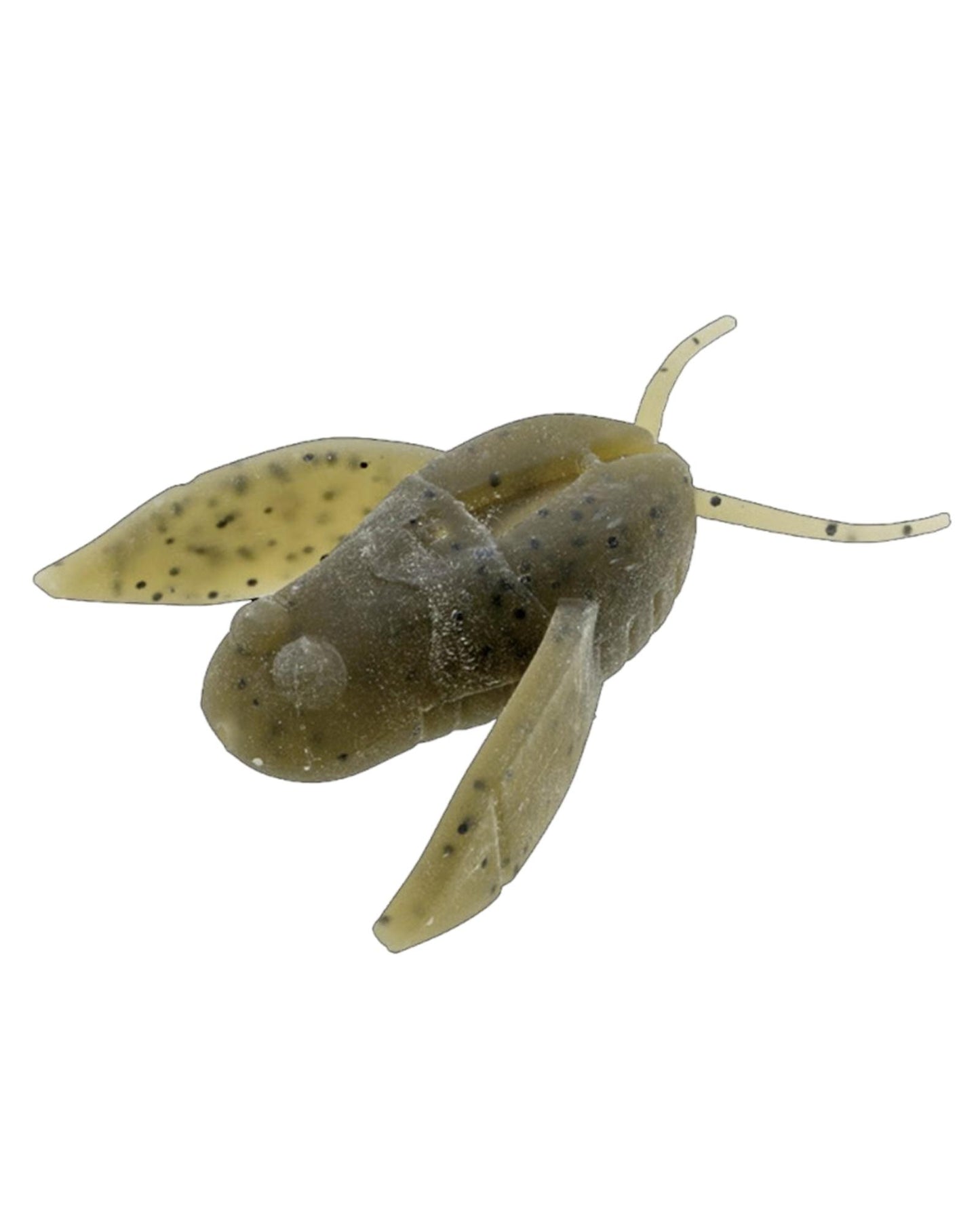 69d2d7615ea90f59f1875d7914ba3b1d8ee15693_A_245682_10_6