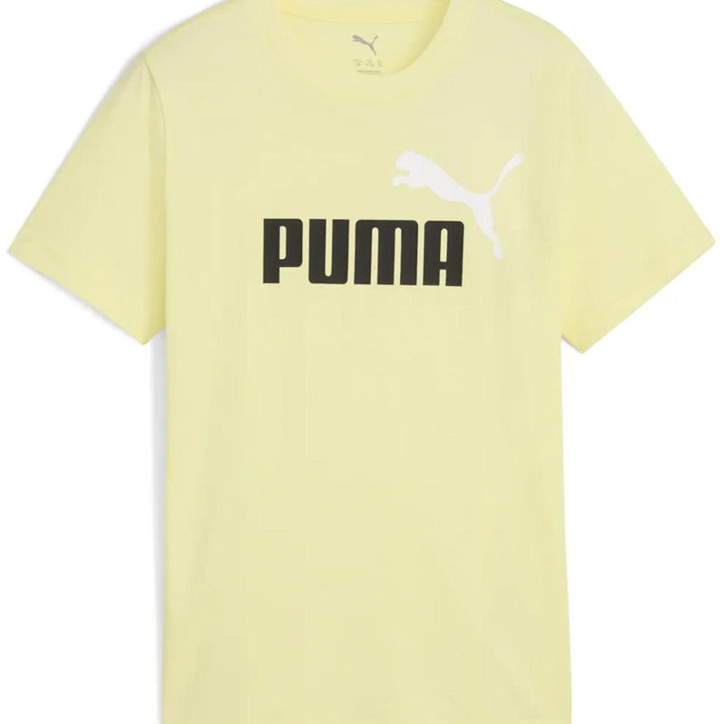 6e7ae7586cccf1cacf4cfc3d2678bfbff427f2e8_A_243734_5_0