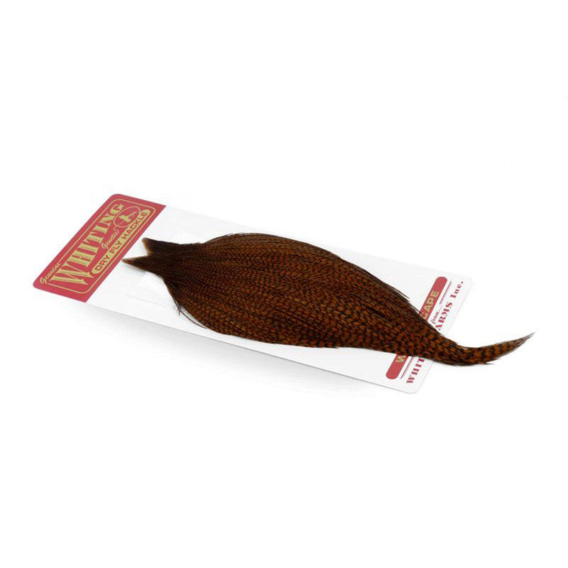 7b3f02ba899f057dd772e71de39f035f9bd9f915_A_265319_11_6