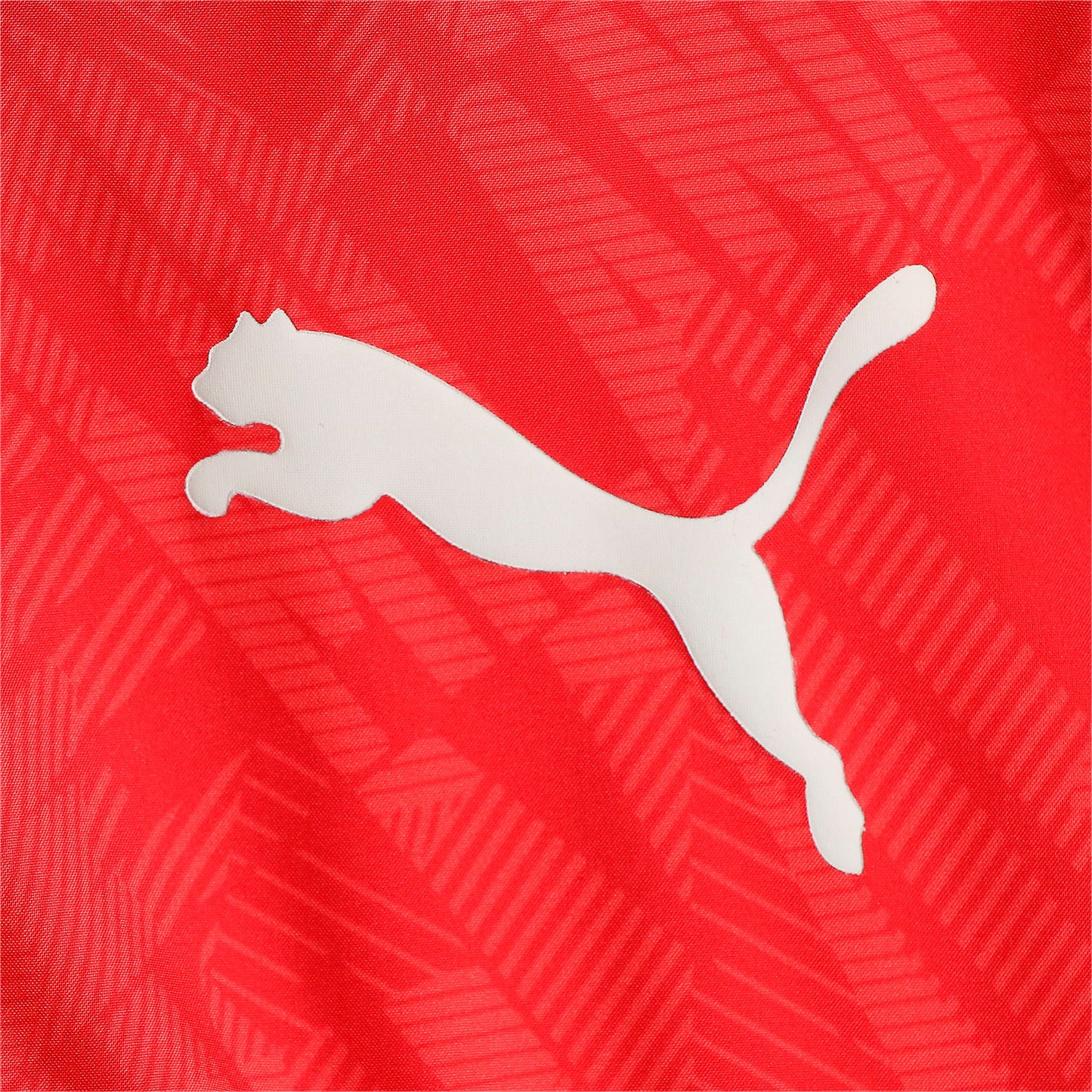 7cdaa9f5cac468f81dbc25dbfd8a7b276dab9c4b_A_113203_3_0