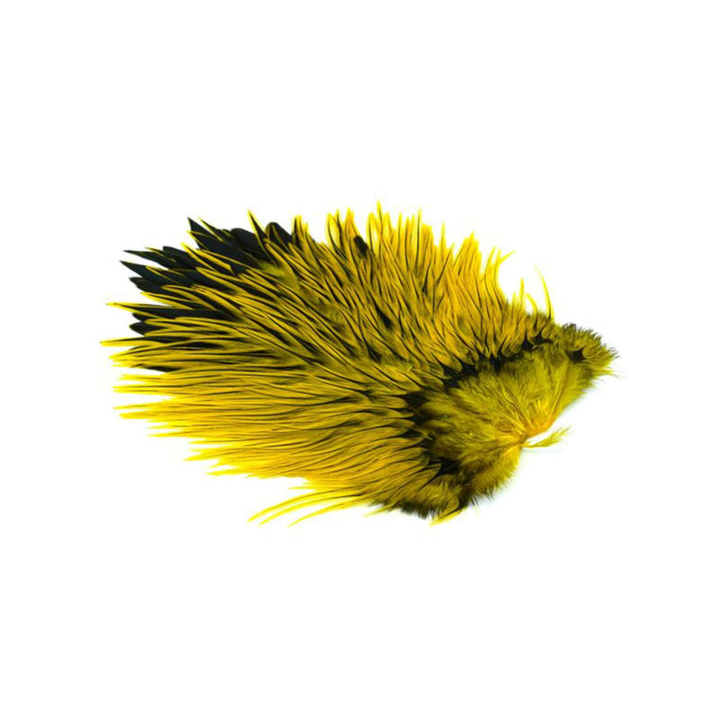 7d6cda7df7890e87854b3ba4508e7bfe58f270a7_A_263028.jpg