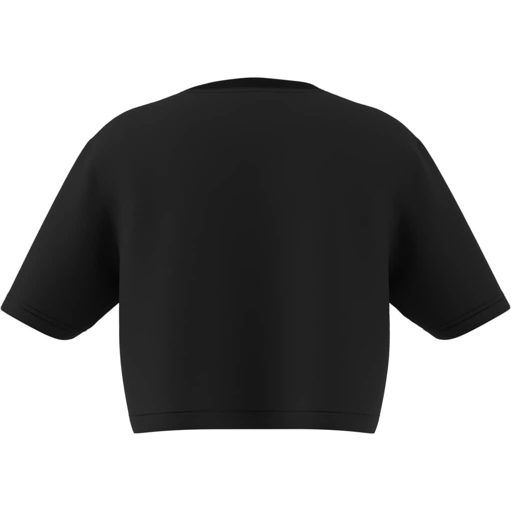 7efca7d963abc664b22dc92881348fc199e8120d_A_248668_6_0