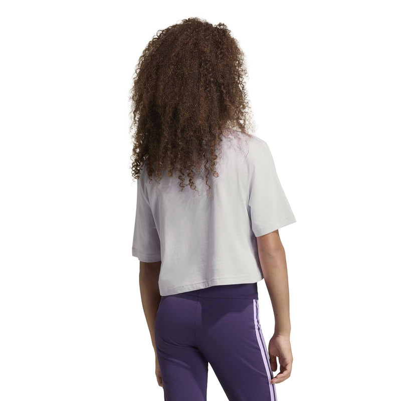 7ff5ed905879ef14043a40b9ddabf921ef6daf7d_A_248675_4_0