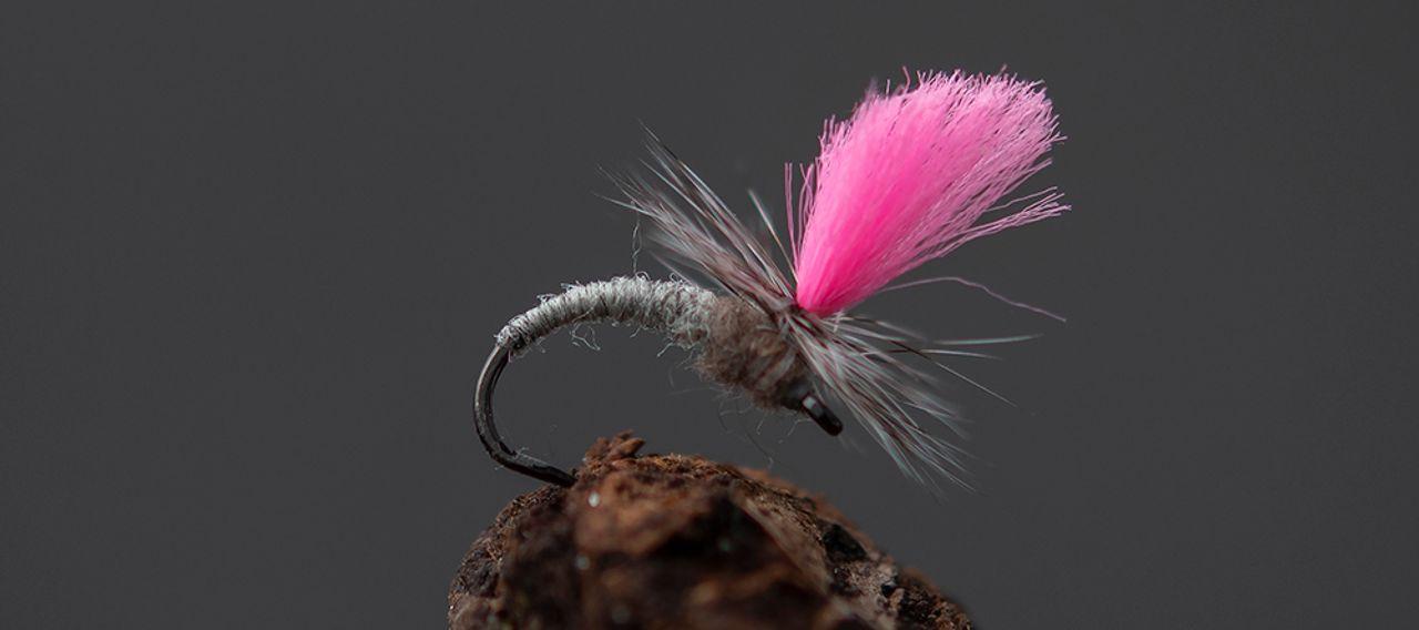 8425369c8a815bd2bb7917c94e6a90c361ac349c_A_251643_99_0