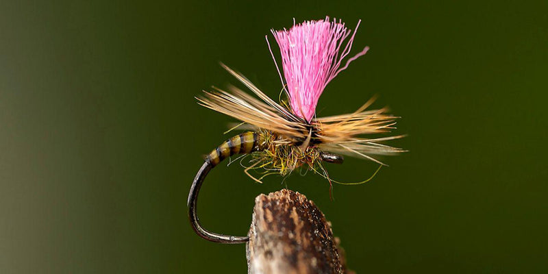 8471bfb2af8e20c15088eef14d490b503a4ce735_A_251644_99_0