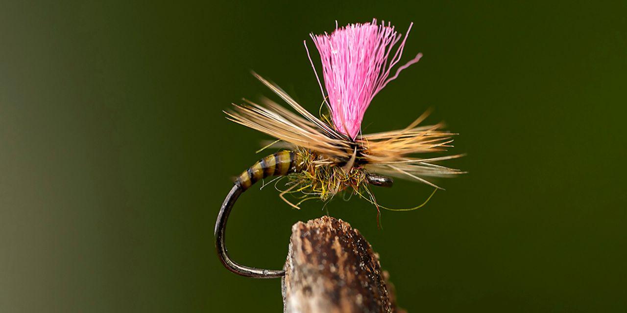 8471bfb2af8e20c15088eef14d490b503a4ce735_A_251644_99_0