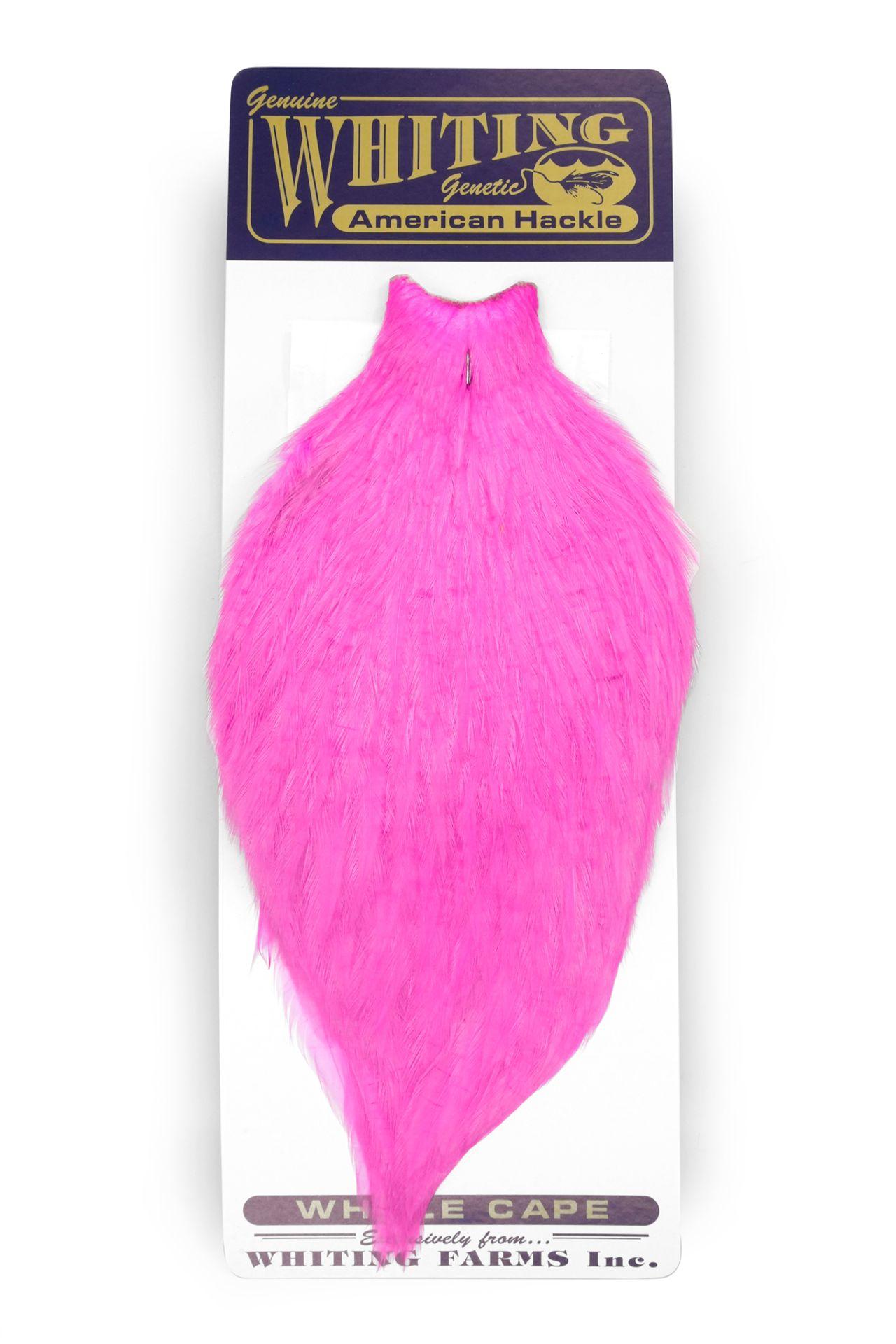 8f36945897fdaddbd120b65177ed1dfcfffaa665_A_251636_4_0