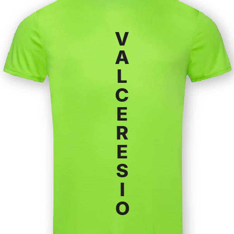a333e211e7b42b71c1b0ce98df1d15522fe0b419_A_241828_10_0