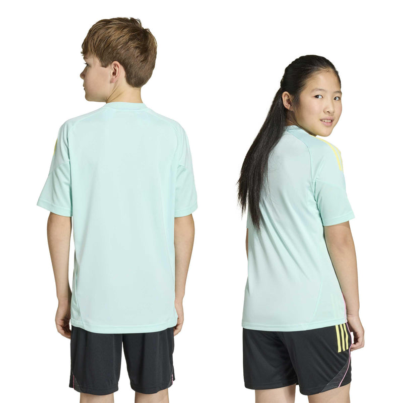 a877d02a4fd338a5e5cecbfd11e01b5849afaf54_A_249639_1_0