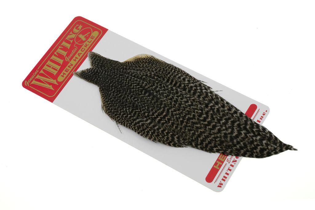 a8eedd32bade27d5aae828f80b4628addcc304c7_A_251013