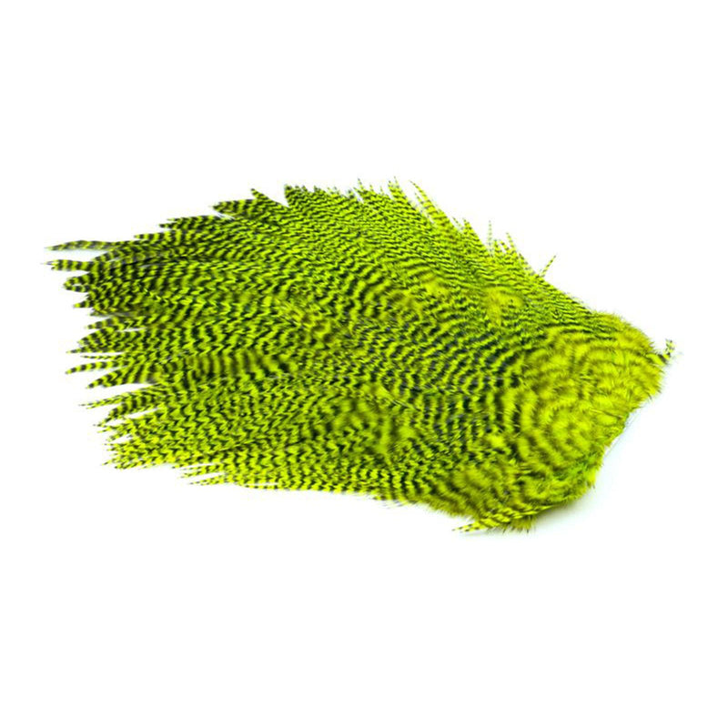 ad631fd3cfff07b2bdce90678f431f2451839a2f_A_263139_5_6