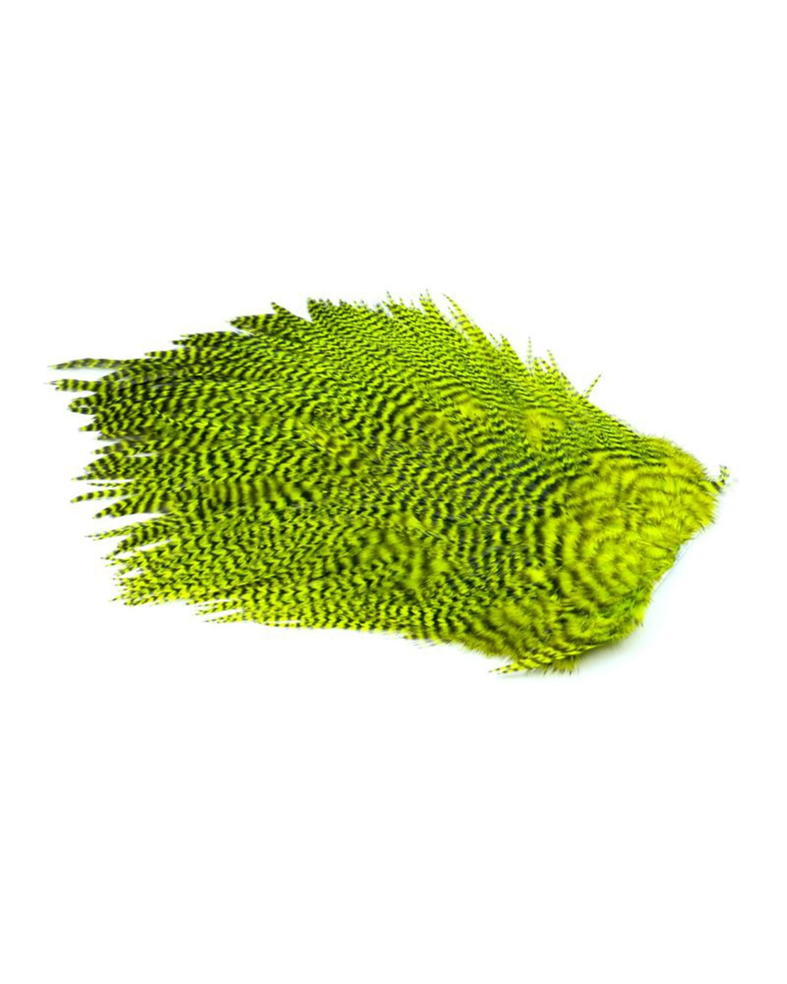 ad631fd3cfff07b2bdce90678f431f2451839a2f_A_263139_5_6