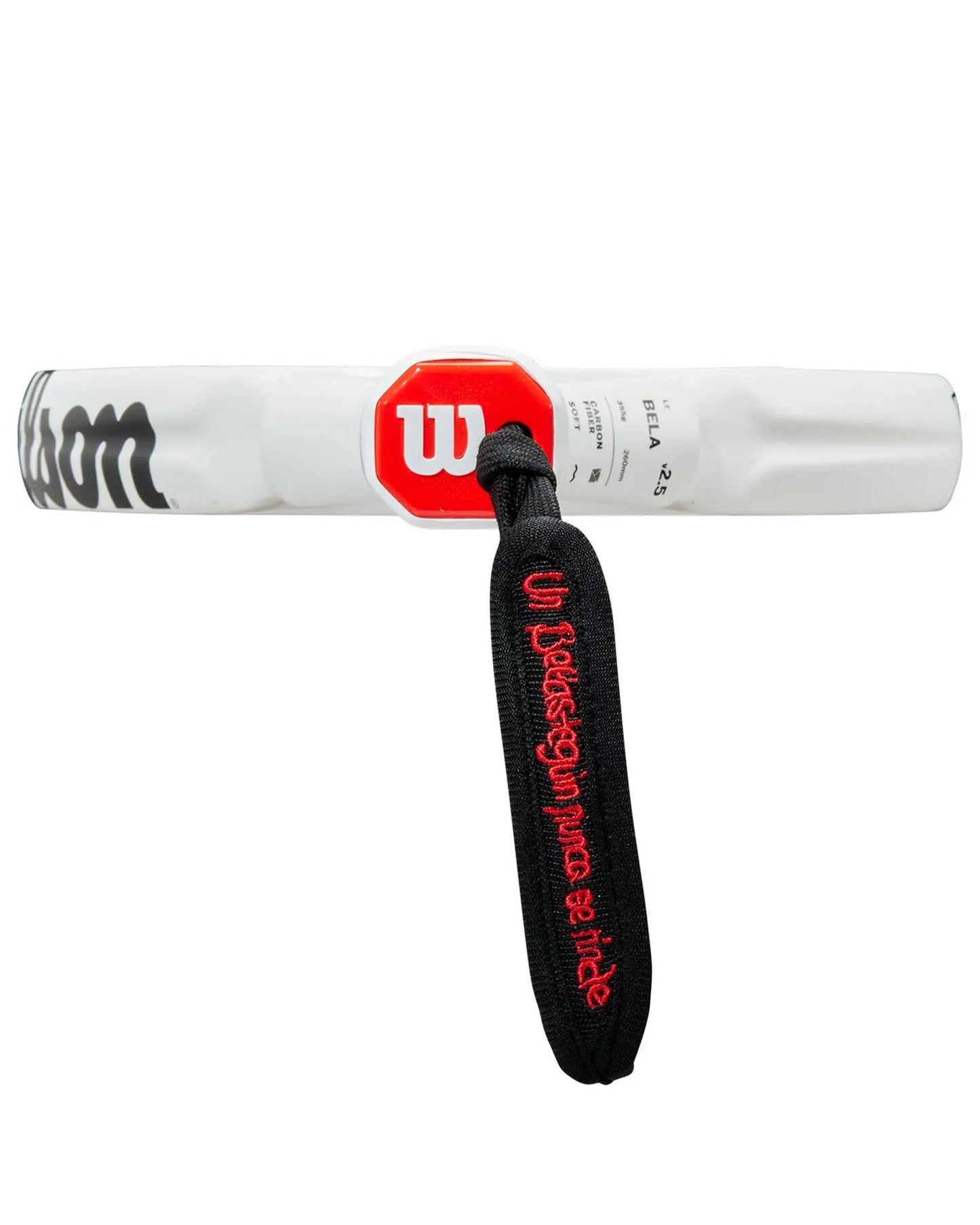 b6894b6c7a4c13384e969d9b7b1cc8148a8fc5b9_A_207551_3_0