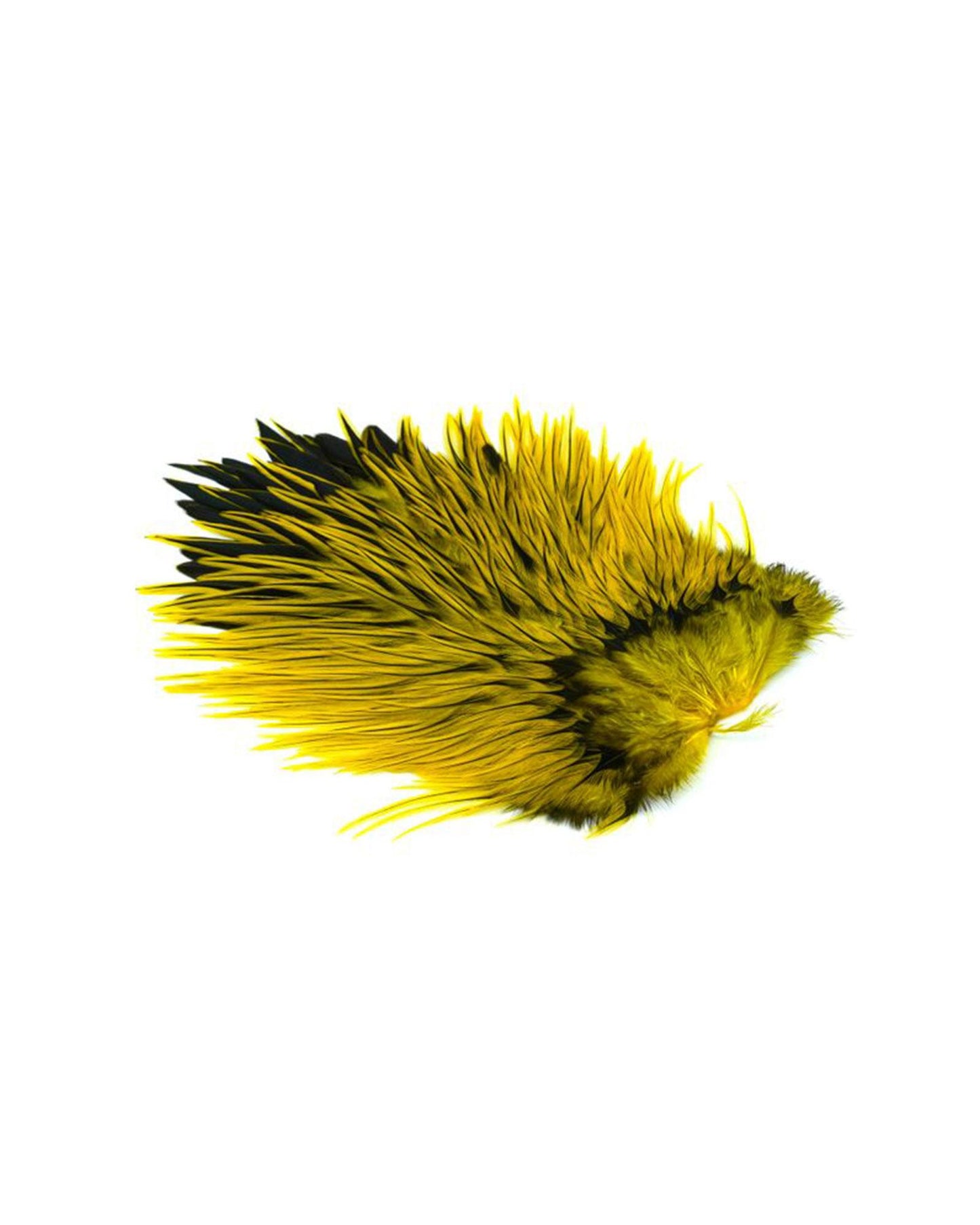 ba97d54b09dbb81313836cd989b7c0a1489dfc32_A_263028_5_6