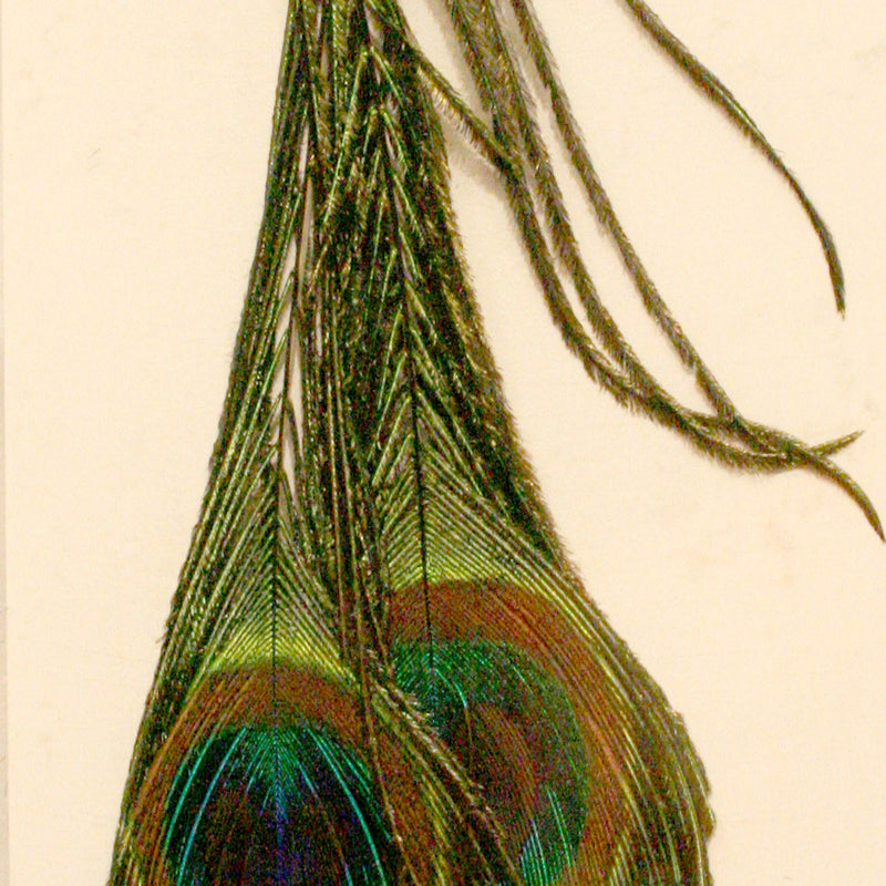 bf73c73ed74121dca99229ca603a7d880d3ef6db_A_49495.jpg