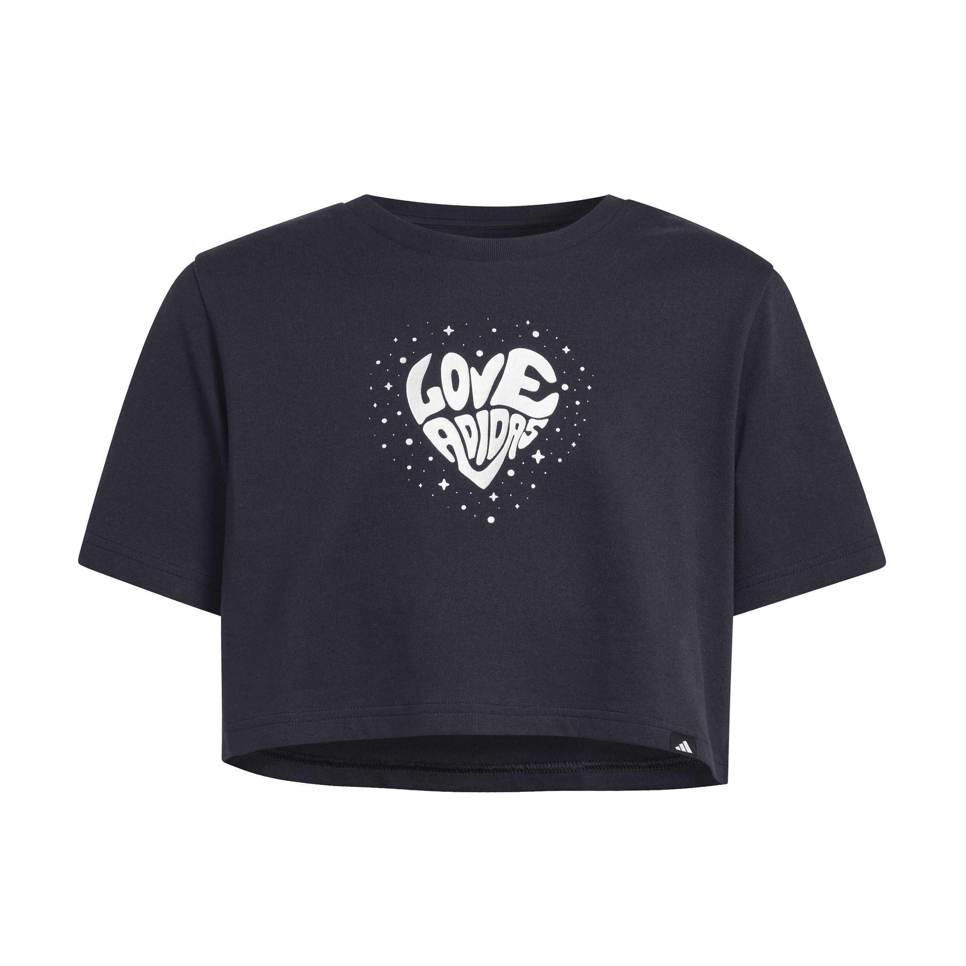 bf9c0434b358b6b2ce46b7389235cba99b4cbb93_A_248668_6_0