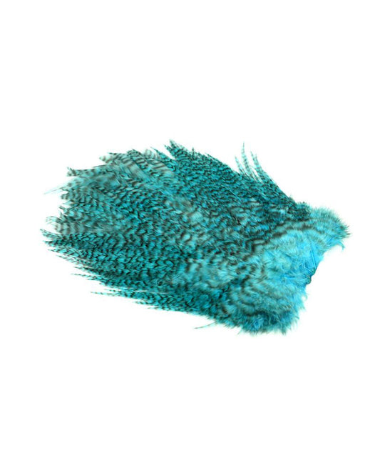 c30a7a00a9c92e34e1a57ccab38f30a4d026364b_A_263132.jpg