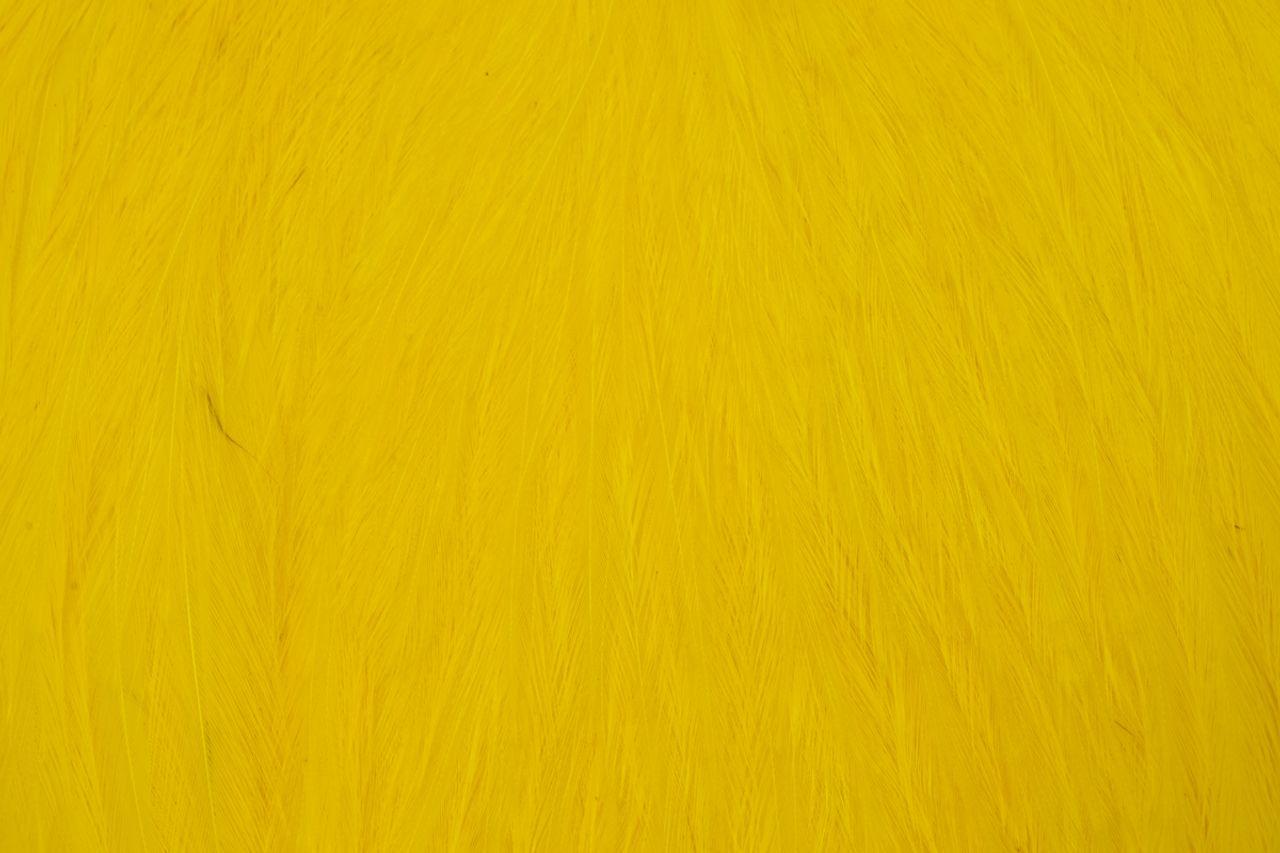 cb7512995fcdcb747cc2256974535ab5aa7d6e8e_A_251638_5_0