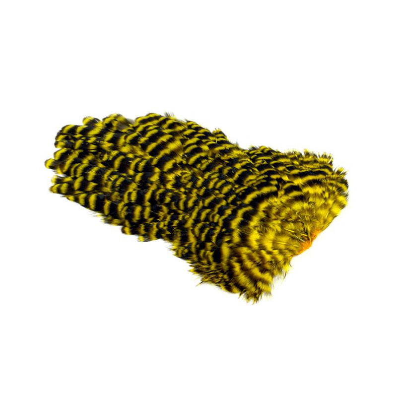 ce835c975b6f01e00018fbd25fd0849143a6da69_A_263062.jpg