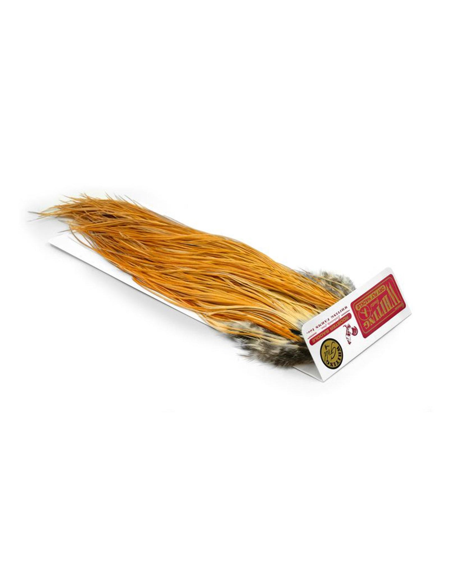 db6a46b50a4d8a658268e5b6b69466270a39338e_A_265285.jpg