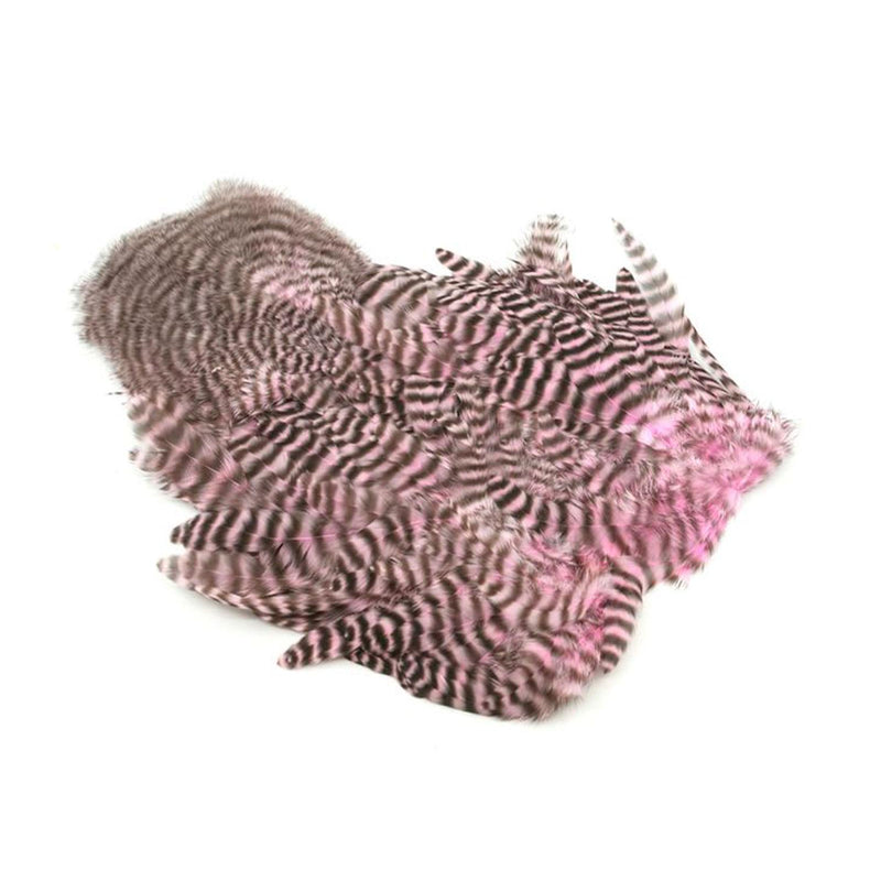e057723e136d0eb2f9ef9a3b35d1b9d78d489be0_A_264483.jpg