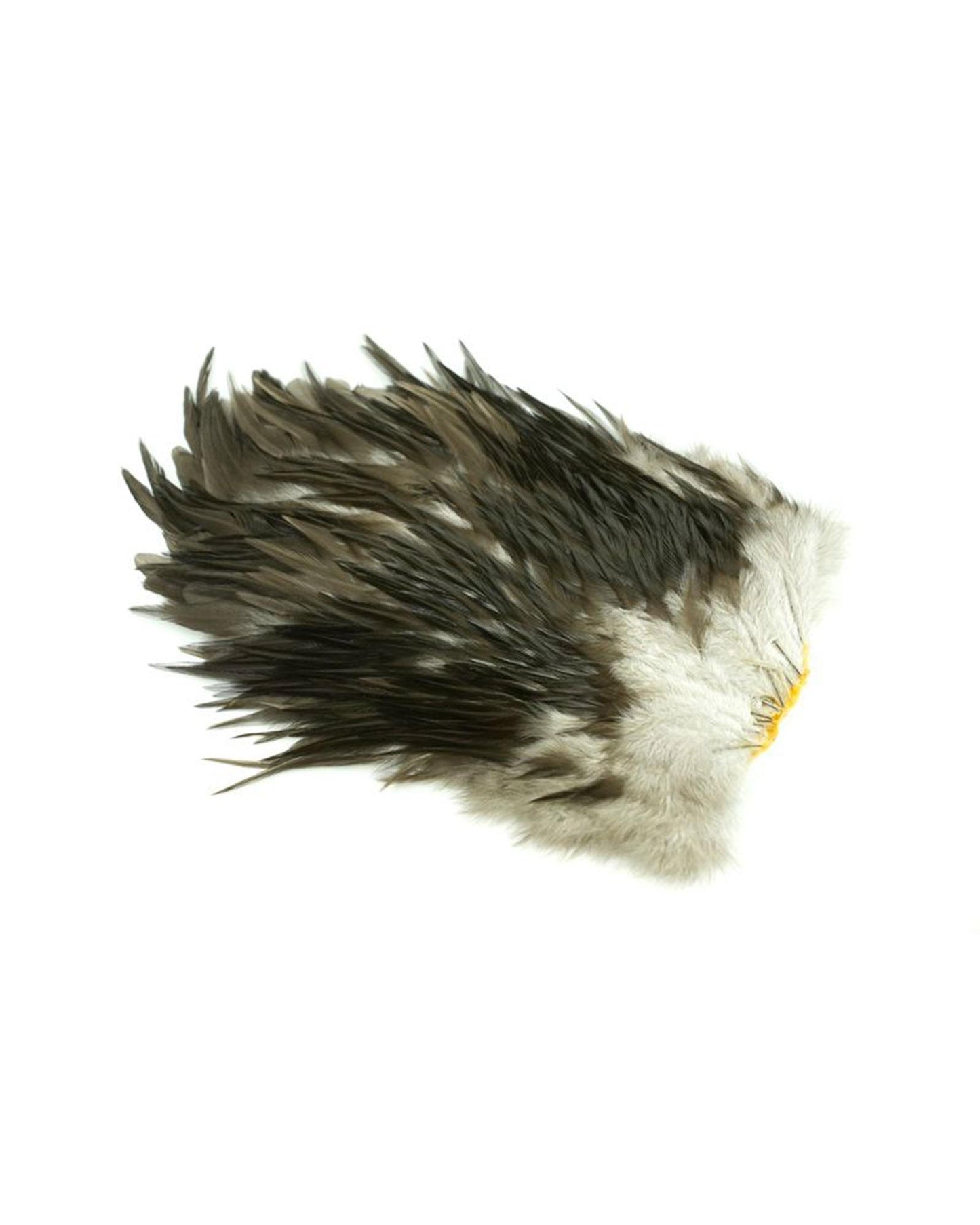 e42c7907e553ed40df7f72a36382a335c0d270e8_A_263142