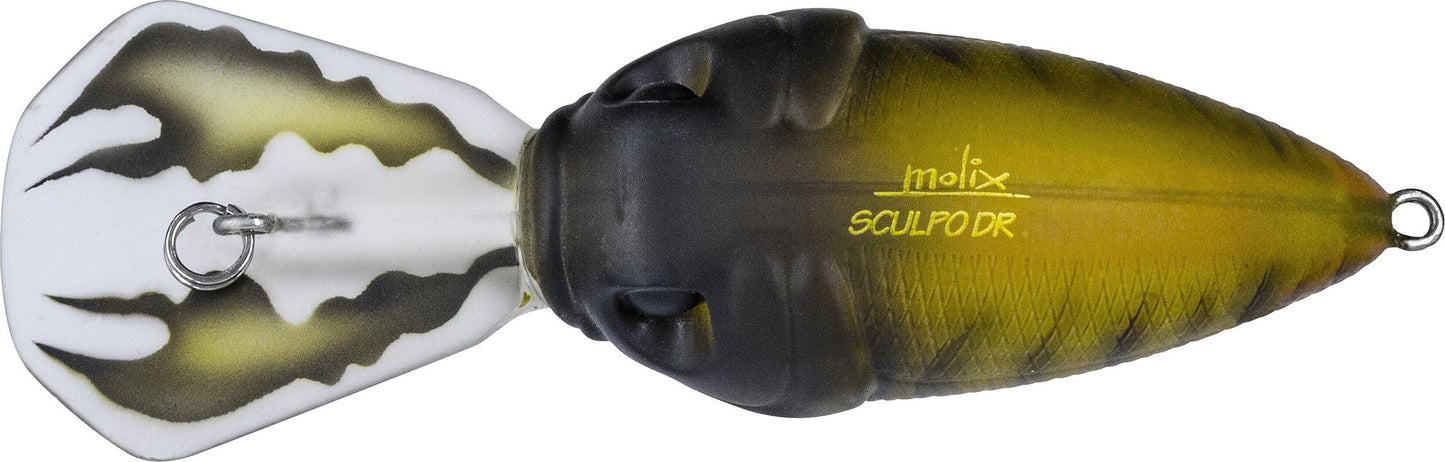 e5f0fc1b8e9c5529f78cebe4bfd73e50df003394_A_248581_11_0