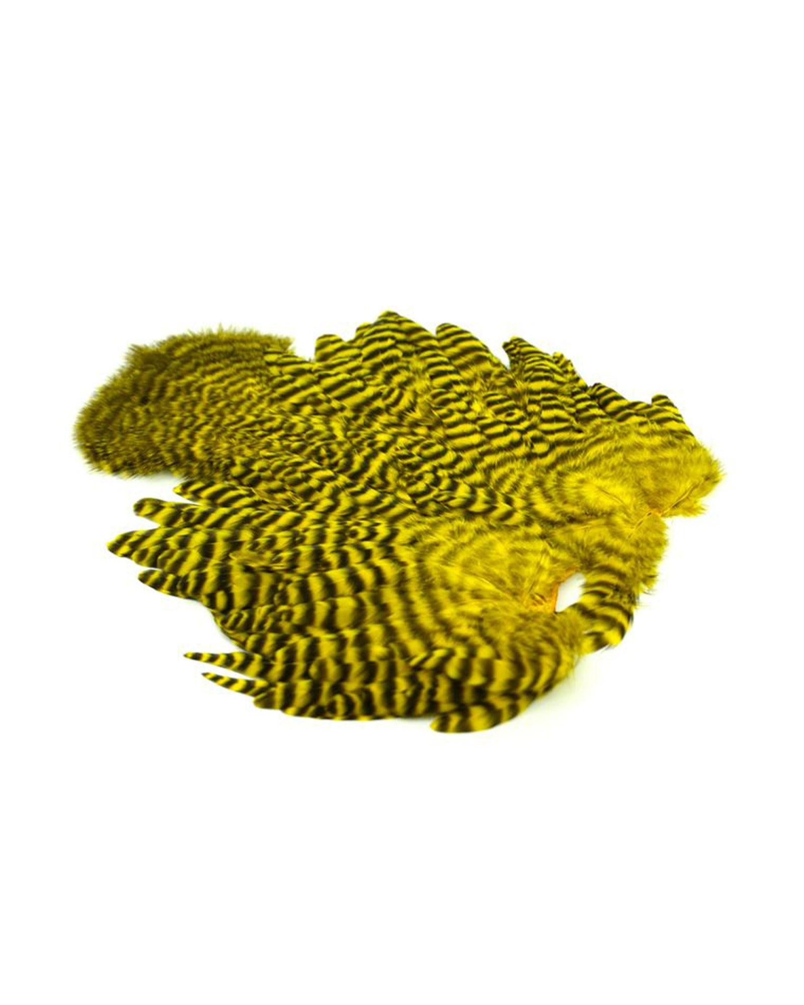 f0a825242c889d5f961aacb687a6fcd74b6b2df9_A_264475