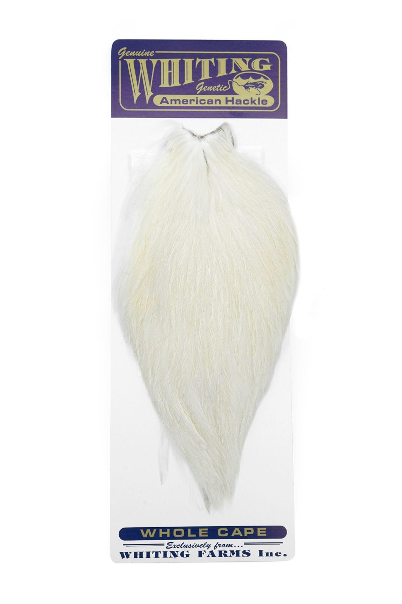 fc5ef7317eb4e208d3bc1d3643c373b1a6cc10d0_A_251634_7_0