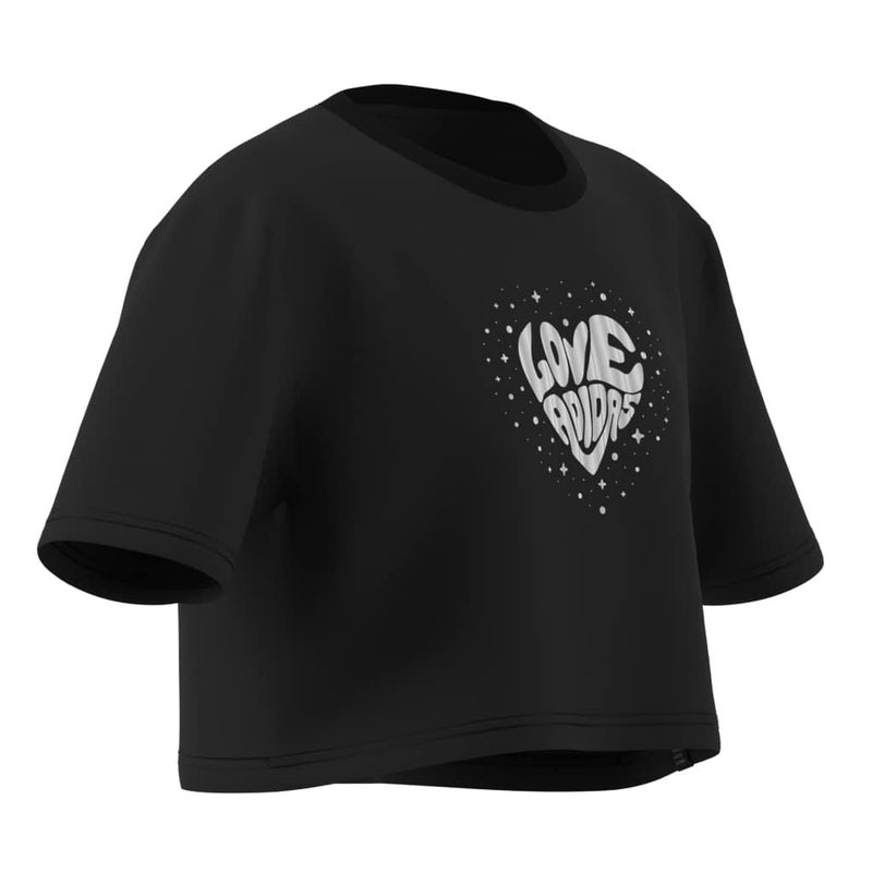 fed58e3bb82efaa0cdb8d2800f310189bfeac922_A_248668_6_0