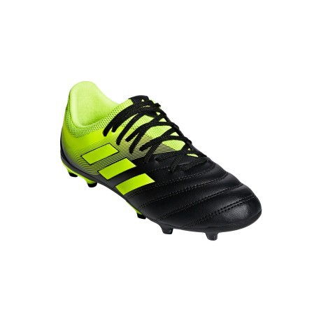 Chaussures de Football Adidas Copa 19.3 FG Exposition Pack