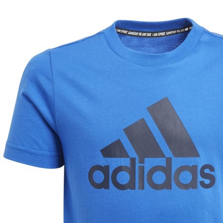 T-Shirt Junior Must Have Badge Of Sport azzurro