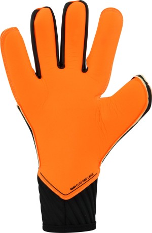 Goalkeeper Gloves Puma Future Grip 2.1