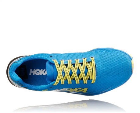 Mens Running shoes Evo Jawz blue yellow