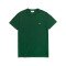 T-shirt Uomo Jersey Pima verde