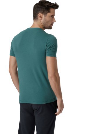 Men's T-Shirt Train Logo in green