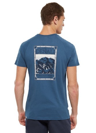 T-shirt Uomo North Face blu