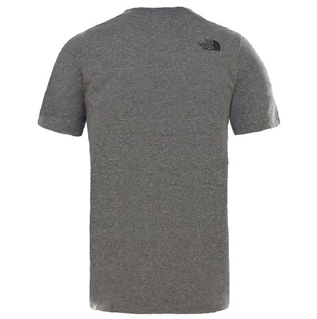 T-shirt Uomo Celebration grigio