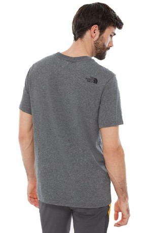 Men's T-shirt Celebration grey