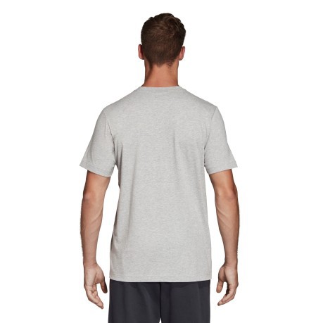 T-Shirt imprescindibles Insignia De Deporte gris