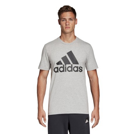 T-Shirt Must Haves Badge Of Sport grigio